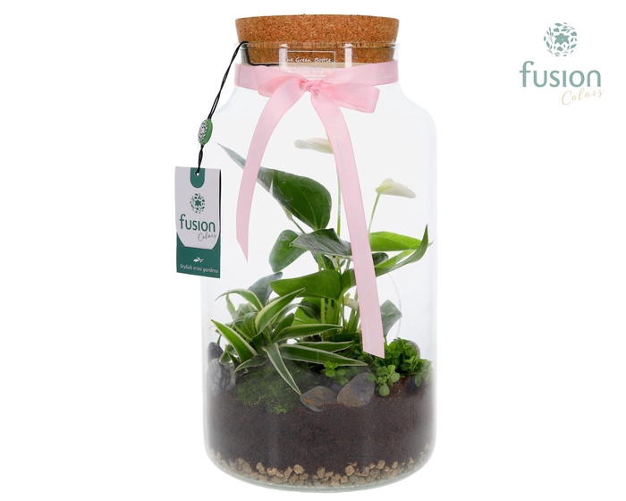 <h4>Green Bottle Pot Large Anthurium arrangement</h4>