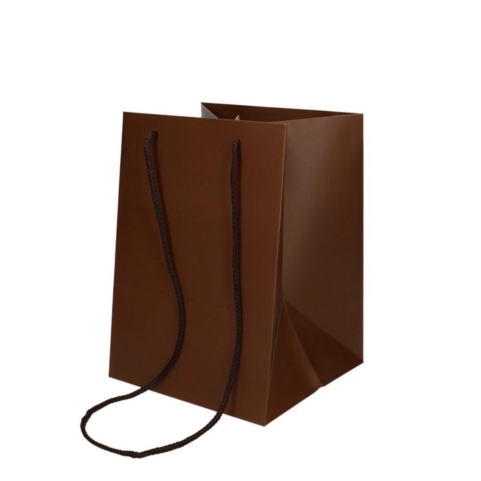 <h4>Olympic 25*18*18cm</h4>