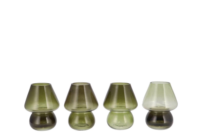 <h4>Bicolore Summer Green Mix Mushroom Ass 12x15cm</h4>