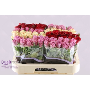 R Gr Qualirosa Suprise Mix -in box