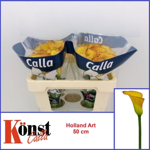 ZANT HOLLAND ART