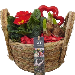PTVO3631 Arrangement Valentine Outdoor in rieten mand