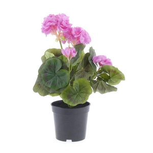 AF Geranium X7 pot L33cm Laven