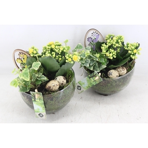 arr2 JS - Bol glaasje 306/6 - geel