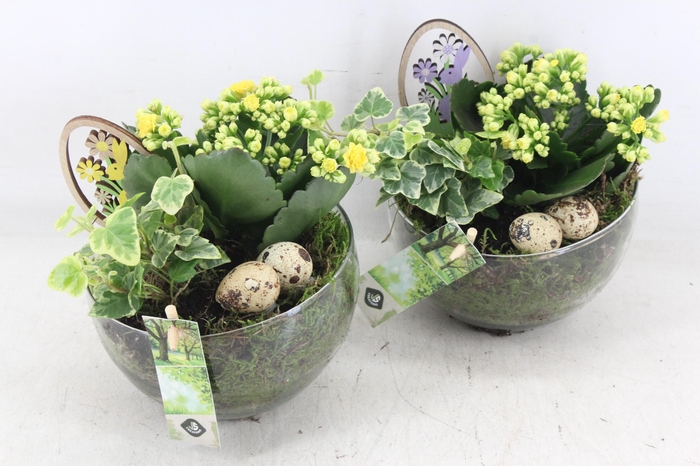 <h4>arr2 JS - Bol glaasje 306/6 - geel</h4>