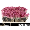 R Gr New Orleans