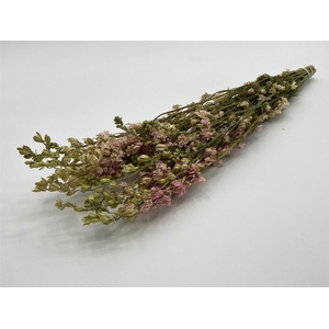 Dried Delphinium Pink Extra Bunch