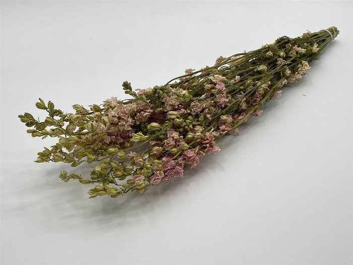 <h4>Dried Delphinium Pink Extra Bunch</h4>