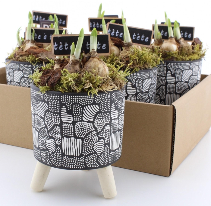 <h4>ARR N TETE A TETE</h4>