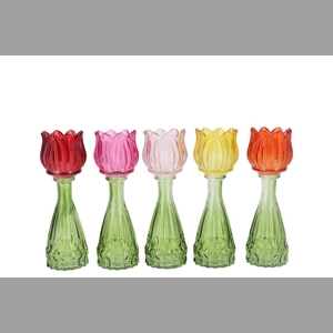 Bicolore Multi Color Mix Tulip Vase Ass 7x22cm Nm