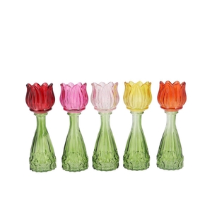 Bicolore Multi Color Mix Tulip Vase Ass 7x22cm Nm