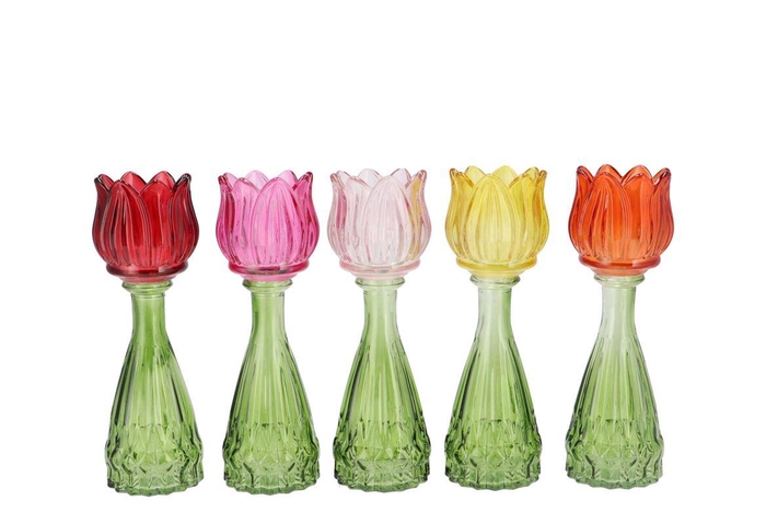 <h4>Bicolore Multi Color Mix Tulip Vase Ass 7x22cm Nm</h4>