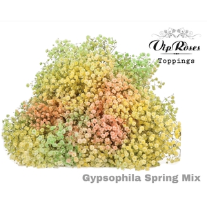 Gyps Pa Spring Mix