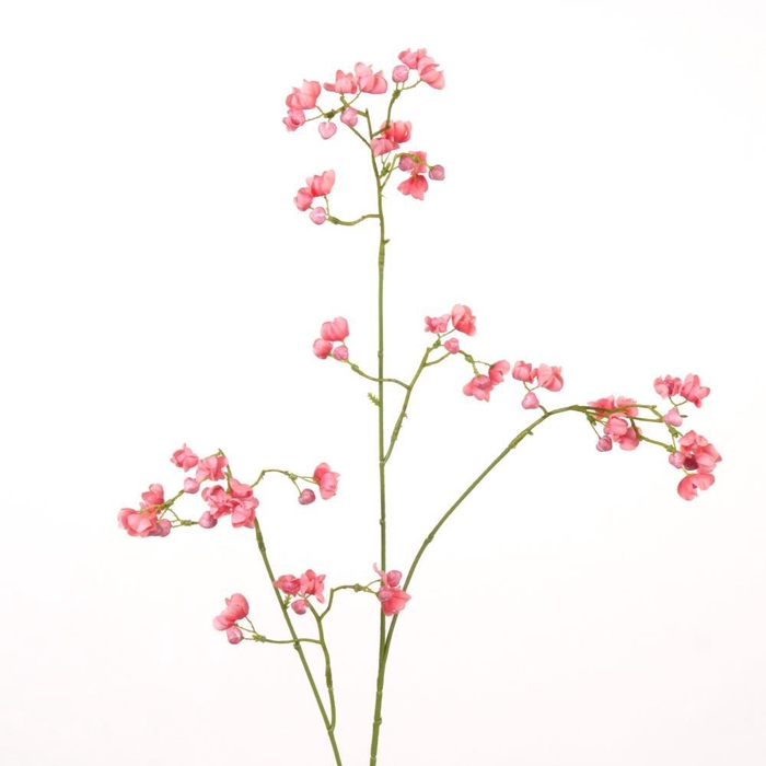<h4>AF Euonymus Spray L91cm Coral</h4>