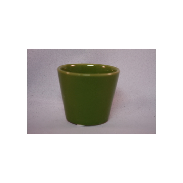 <h4>POT MINI SAMBA 7X6H</h4>