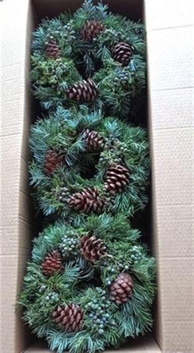 <h4>Sierfruit Krans H%</h4>