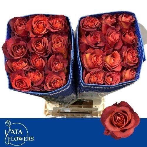 <h4>R GR COFFEE BREAK</h4>