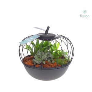 Appel metaal zwart Large met arrangement