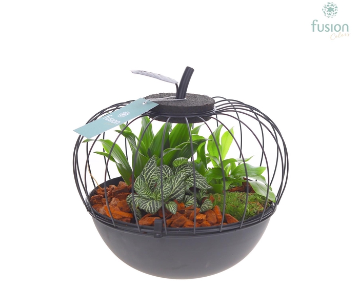 <h4>Metaal appel zwart Large met arrangement</h4>