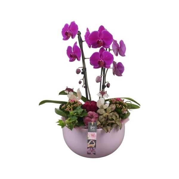 <h4>PTHI5558 Arrangement Herfst Indoor in keramiek schaal</h4>