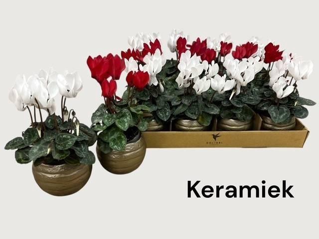 <h4>CYCL KL SUP MICRO</h4>