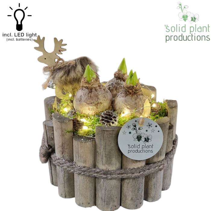 <h4>HH001 Milano Grey Small Hyacint + LED</h4>