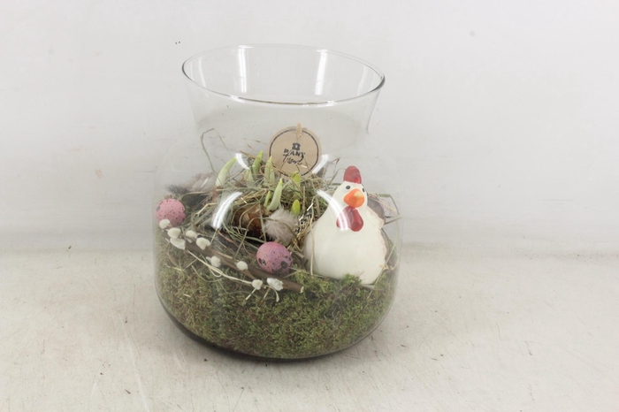 arr4 Narcis PL - Glas candy kip