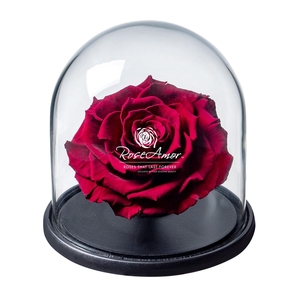 Dome Bonita Red01 Bulk
