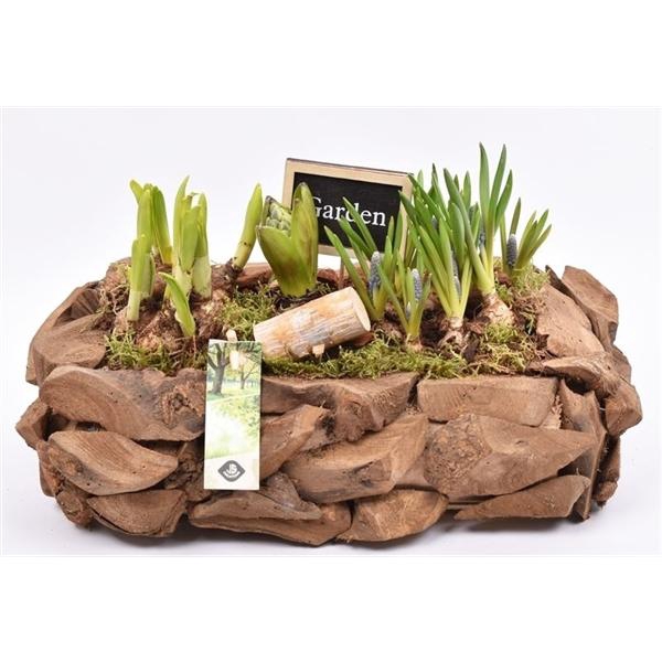 <h4>Natuur boomschors 35x20cm</h4>