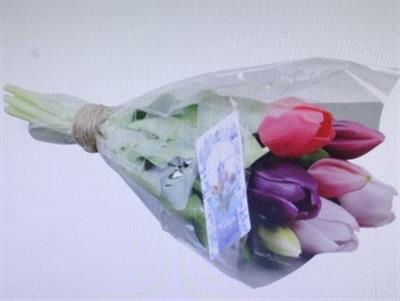 <h4>3111 Kunst Tulp Roze/paars</h4>