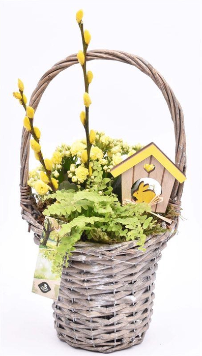 <h4>Wilg hengselmand gy 17cm</h4>