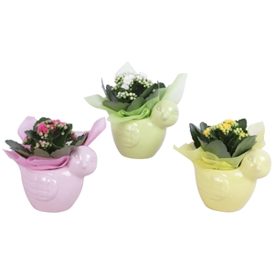 Early Spring Arr. Indoor Ceramic Bird Gr/Pi/Ye Ø16cm 1PP