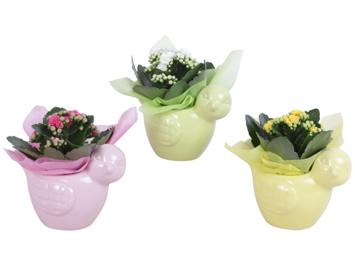 <h4>Early Spring Arr. Indoor Ceramic Bird Gr/Pi/Ye Ø16cm 1PP</h4>