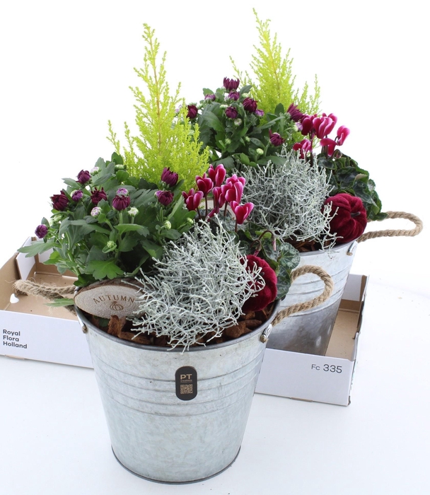 <h4>ARR TUINPLANTEN H%</h4>