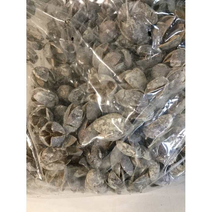 <h4>BAKULI FROSTED WHITE 1KG</h4>