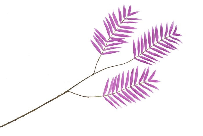 Silk Palm Leaf Purple 87cm