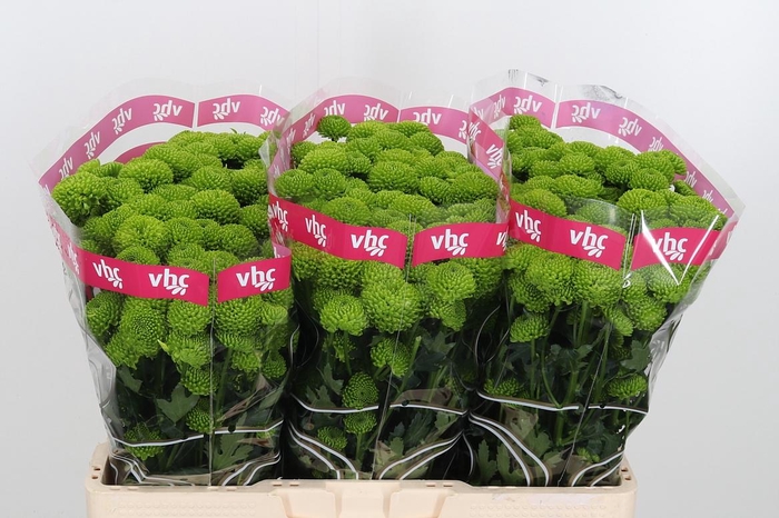 <h4>Chr S Aaa Peptalk</h4>