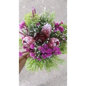 Bqt - 3 Protea Tint Bouquet  (p/b)
