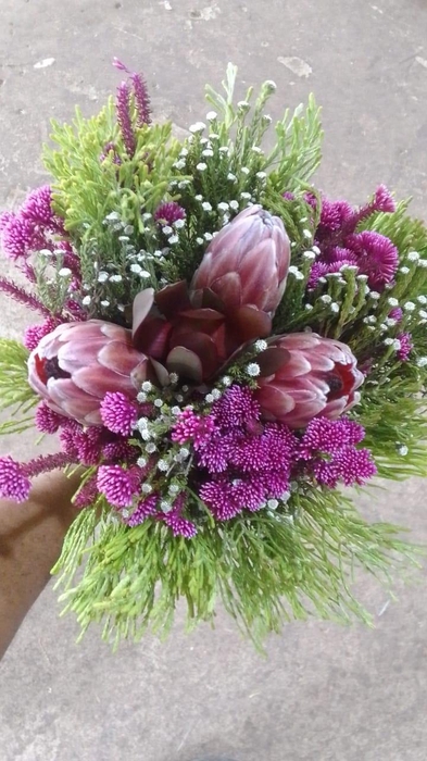 <h4>Bqt - 3 Protea Tint Bouquet  (p/b)</h4>