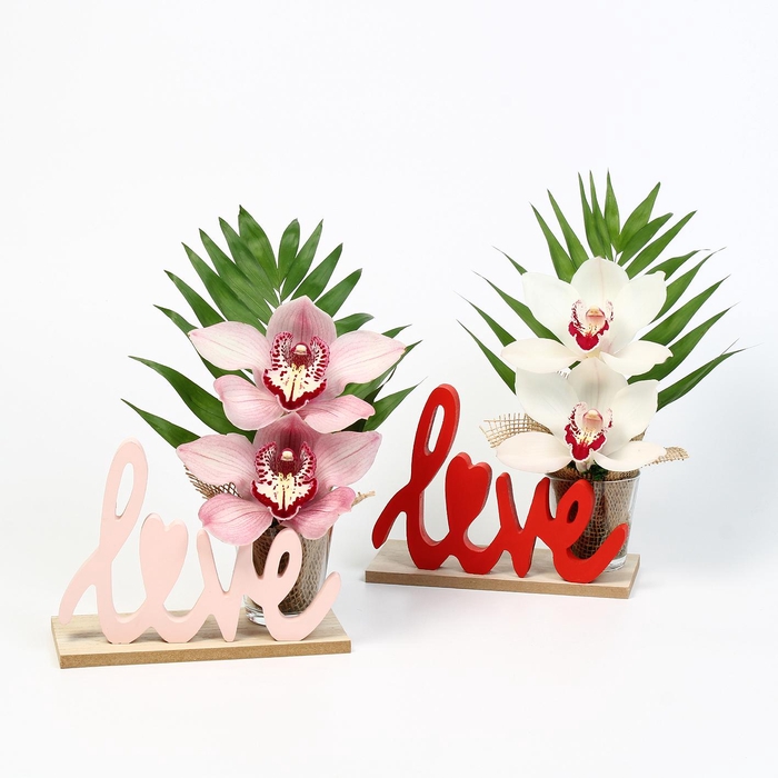 <h4>CYMB VERPAKT P BLOEM 5068</h4>