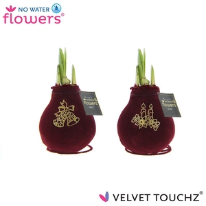 No Water Flowers Velvet Touchz® Royal Gold