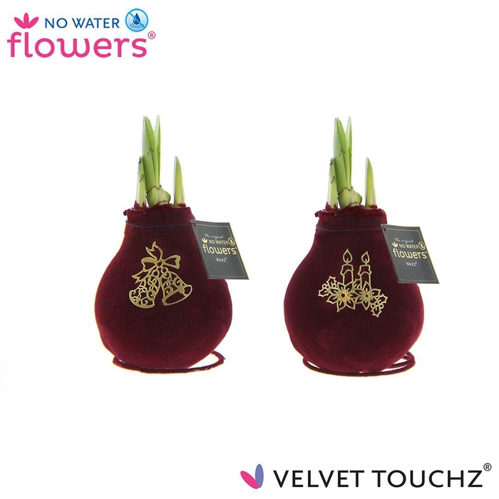 <h4>No Water Flowers Velvet Touchz® Royal Gold</h4>