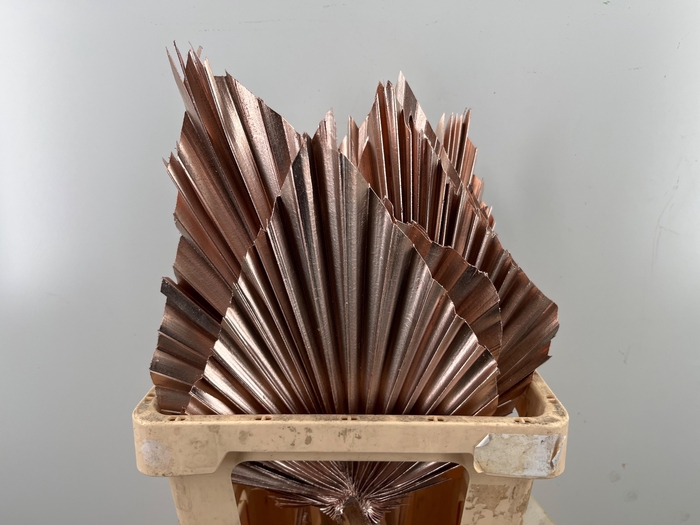 <h4>DROOGBL BEWERKT H%</h4>