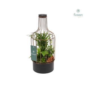 Metalen fles goud Small FC22.0592