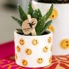 Kolibri Greens Succulenten mix in Smiley pot