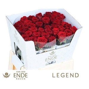 R GR RED NAOMI! A VAN DER ENDE