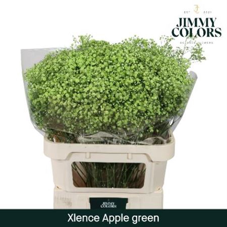 <h4>Gyps Grof Apple Green (dip)</h4>