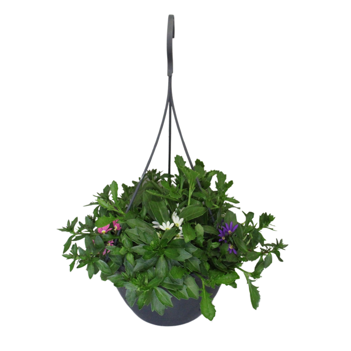 Hangpotten 23 cm Scaevola Trio