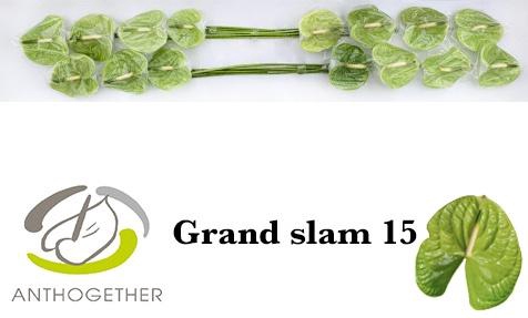 <h4>ANTH A GRAND SLAM</h4>