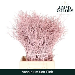 Vaccinium L50 Klbh. Licht Roze